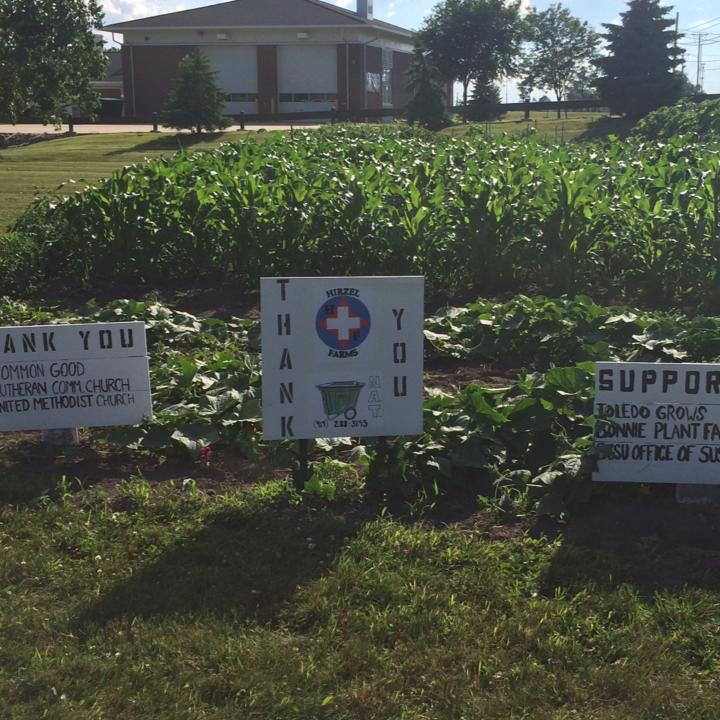 Community Garden